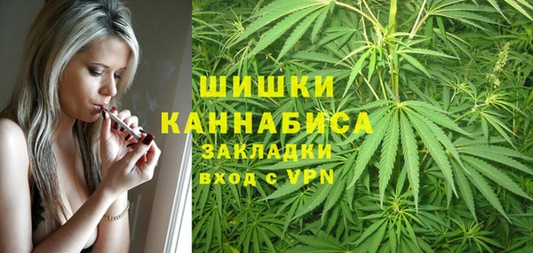 молекула духа Володарск