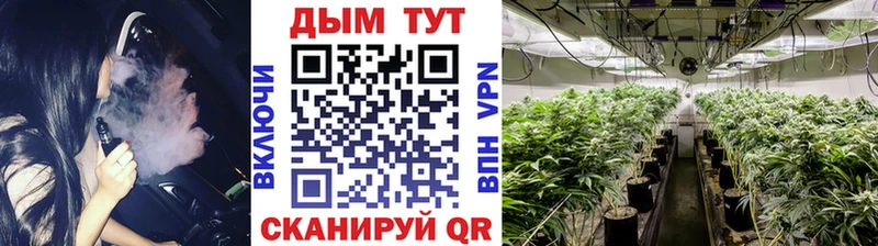 kraken маркетплейс  Калуга  Шишки марихуана OG Kush 